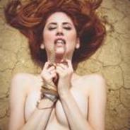 东北人都是傻屌