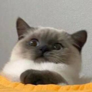 擅长捉弄的高木同学又名擅长调情的西片太太