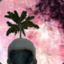 Mr.Plant