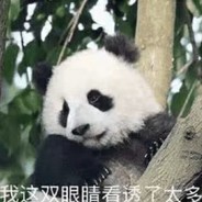 熊猫厨神小小店