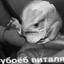 Виталя Фрейд