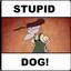THC.Stupid Dog