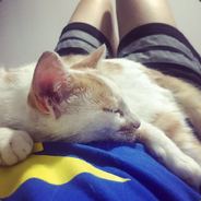 沃特森艾雷娘养殖中心