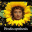 Frodo Synthesis