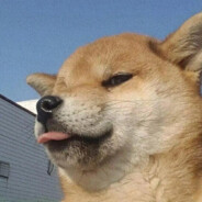 吃拌粉放咖啡豆