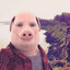 JohnPork_revenge@royalmail.co.uk