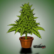 ꧁⚡ĐÖŅÄȚËŖ⚡꧂