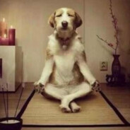 待到来年九月八