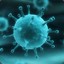 Influenza