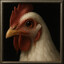 Animal Courier