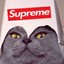 Supreme Meow