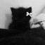 Аниме кошечка