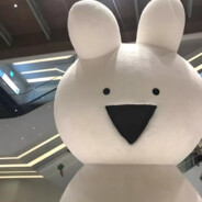 旋风麻辣老母鸡