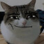 (◐ω◑ )