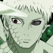 如果秋雨结成霜