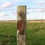 FencePost