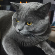 把心思放在学习上