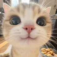 𝐌𝐄𝐄𝐄𝐎𝐎𝐎𝐖