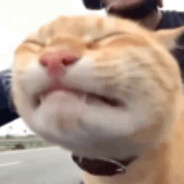 玩家头像
