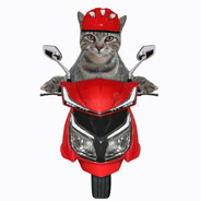 KoT_Ha_Monege - steam id 76561198149248441