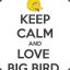 BIG_BIRD