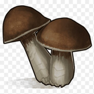 grzybek aka mushroom