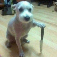 влад кошмар 