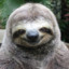 Sloth