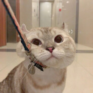 倩倩今天没白给