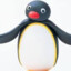 Pingu-noot-noot