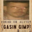 Gasin_gimp