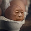 習近平