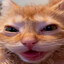 Töm