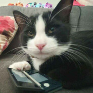 Cat on 3DS