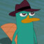 Perry The platypus