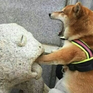 思念何曾放过我