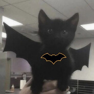 𝓑𝓪𝓽𝓶𝓪𝓷