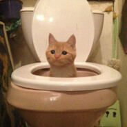 加速同调光都可以超越