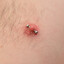 Little Nips