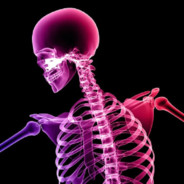 bones'no.One - steam id 76561198453947295