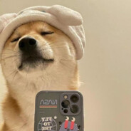 嘿嘿哈哈