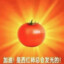 也许是番茄