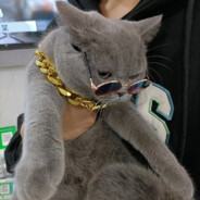 她用姨妈骗我是处