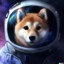 Shiba