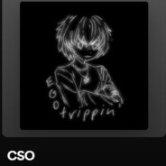 CSO