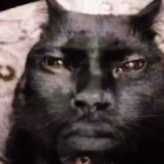 professional_seller9000