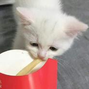 CaptainBananaHammock