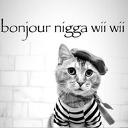 BR4G4HOL1C