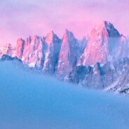 白日无处寻芳菲