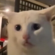 ni hao how are you a wat r u doi